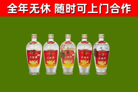 杜集回收老五粮液