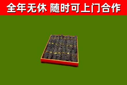 杜集回收海参